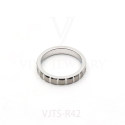 VJTS-R42(2)