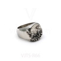 VJTS-R66(2)