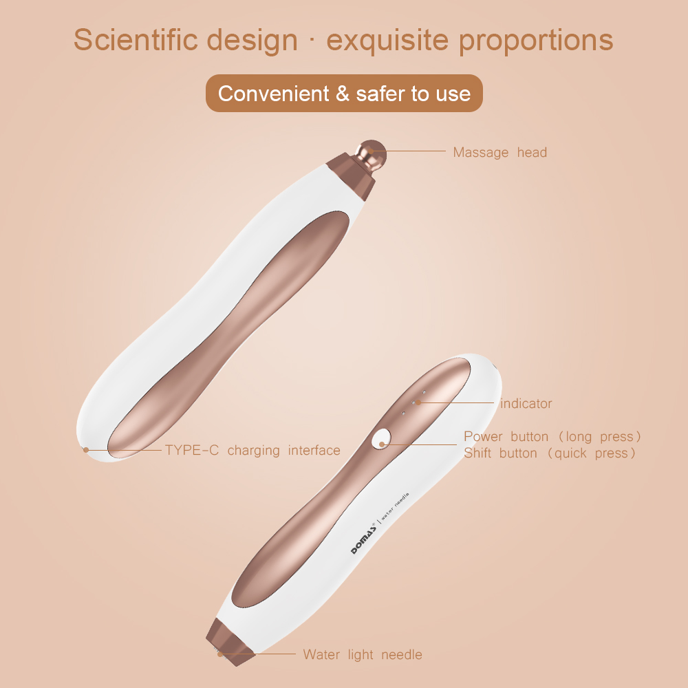 RL-081 Multi-functional Mesotherapy Device. 