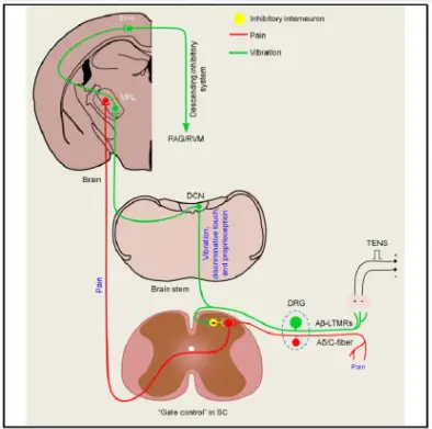 ScreenShot_2025-12-05_103457_074