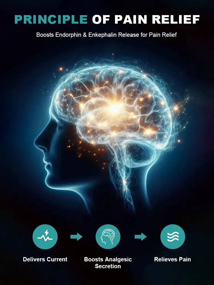 189头部按摩-详情页_04