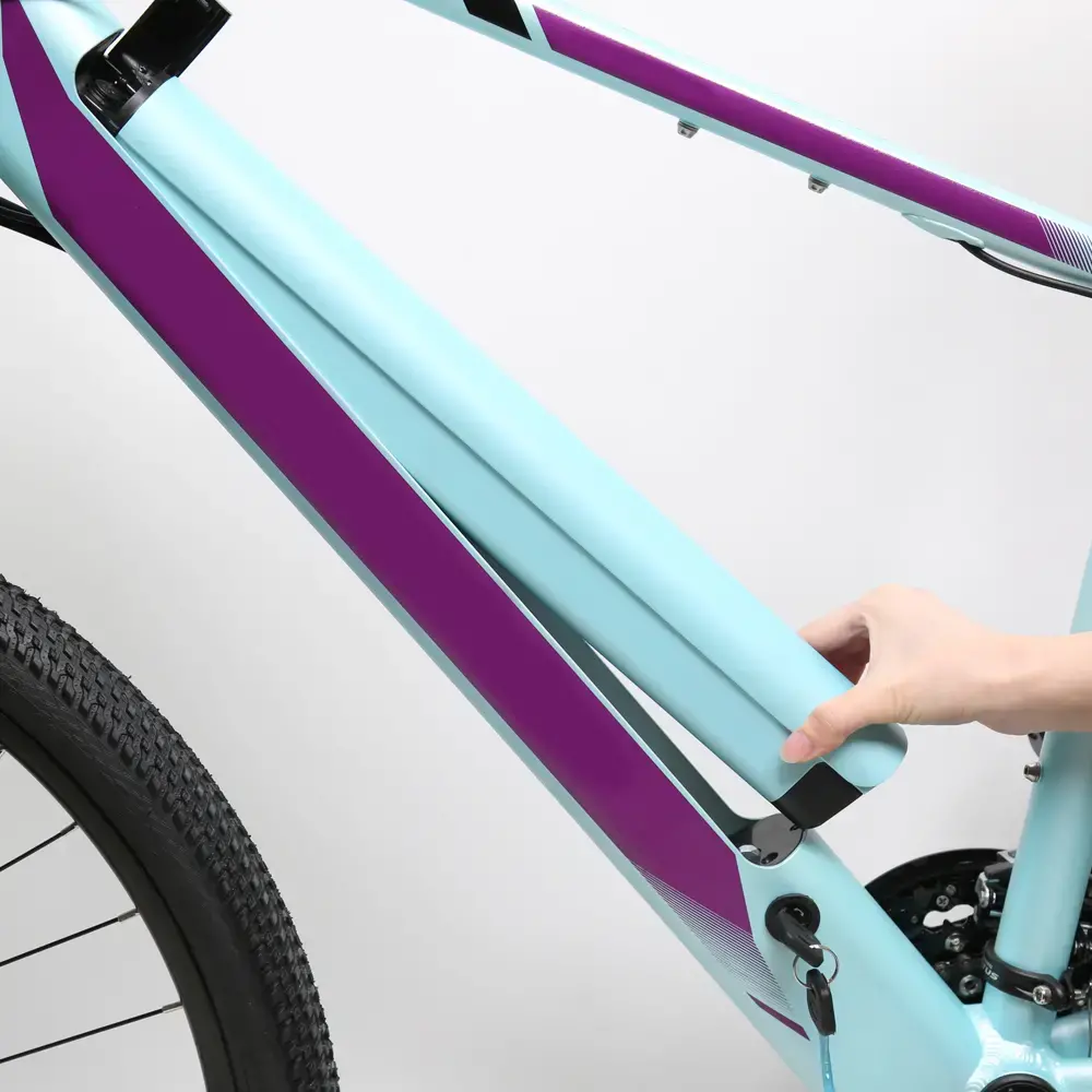 2022 Brand New Alloy Suspension Frame Electric Bike Bicycle 250W Middle Motor