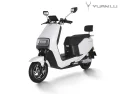 Brand New Electric Moped Scooter LCD Speedometer Double Battery City Scooter