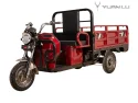 Adults 3 Three Wheels 60v 1500w Electric Cargo Trike Van Cargo Tricycle