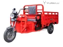 Large Power 1500W Cargo Electric Tricycle Big Wheel Tricycle