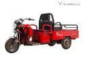 Passenger Cargo Adult E - Trike Electric Food Tricycle for Adults