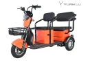 Adult Electric Tricycle 3 Wheels Trike Pedicab Electric Scooter