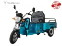 Factory Direct Sales Customize Electric Cargo Tricycle 3 Wheel Electric With 1.1m Carrige Box