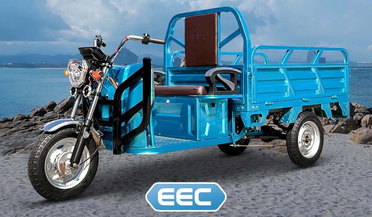 Lobo EV Technologies合规风险与投资价值评估分析