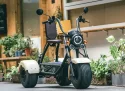 HS500DQZ-A XO Positive Tricycle (Electric Version)