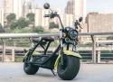 HS1200DT-A Two Wheeled Electric Vehicle