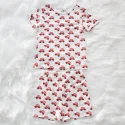 Toddler snug Fit Cotton Pajama Set (6)
