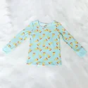 Toddler Tee and Pant 2 Piece Pajamas Set (4)