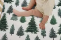 Pine Trees 06