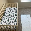 Pine Trees 07