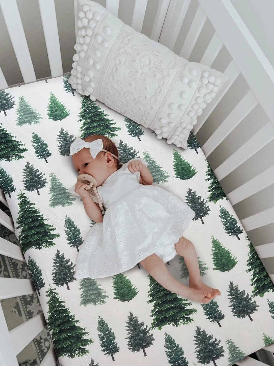 Pine Trees-05