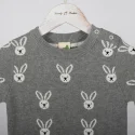 Infant sweater (3)