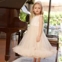 sleeveless baby girl party tutu dress (6)