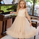 sleeveless baby girl party tutu dress (7)