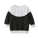 Toddler Sweater Round Neck Long Sleeve Pullover