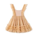  Toddler girls tutu dress (4)