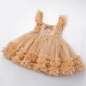  Toddler girls tutu dress (8)