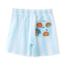 Boys Swim Trunks (3)