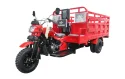 300cc Phat-Phati Motorized Cargo Tricycle with Heavy Load Shock Absorber