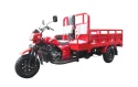 250cc Tres Ruedas Triciclos Carga with Heavy Load Shock Absorber & Double Seat