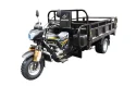 200cc Congo Moto Trike Farm Tricycle Van