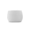 White Box