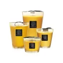 All Seasons Zanzibar Spices