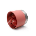 Natural Red Crystal Stone Space Diffuser