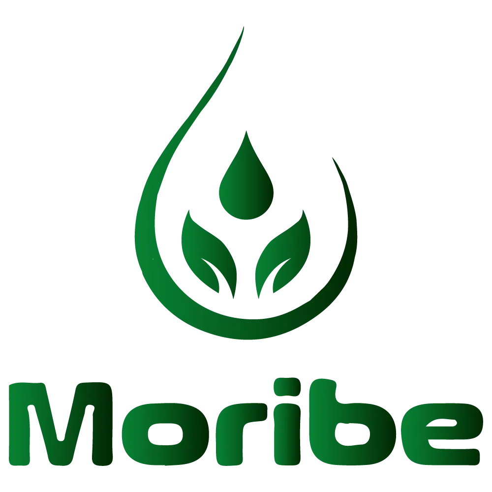 Chongqing GreenMoribe Trading Co., Ltd.