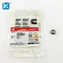 Cummins Plug, Expansion 3081529