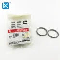 Cummins Insert, Valve 3104445