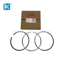 CUMMINS SET,PISTON RING 4089500-10