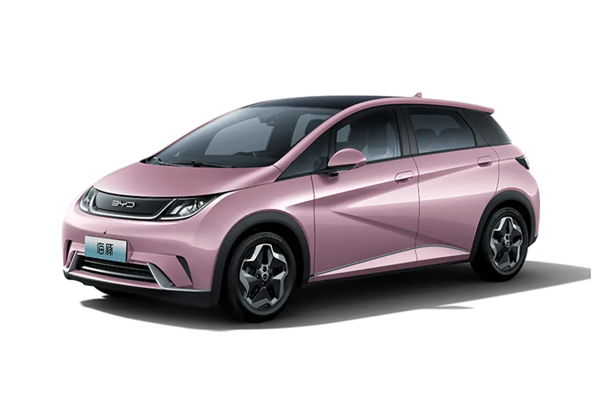 BYD Dolphin Electric Vehicle 405KM | HZZY