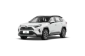 Toyota RAV4 Cover