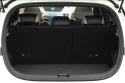 BYD Dolphin Trunk