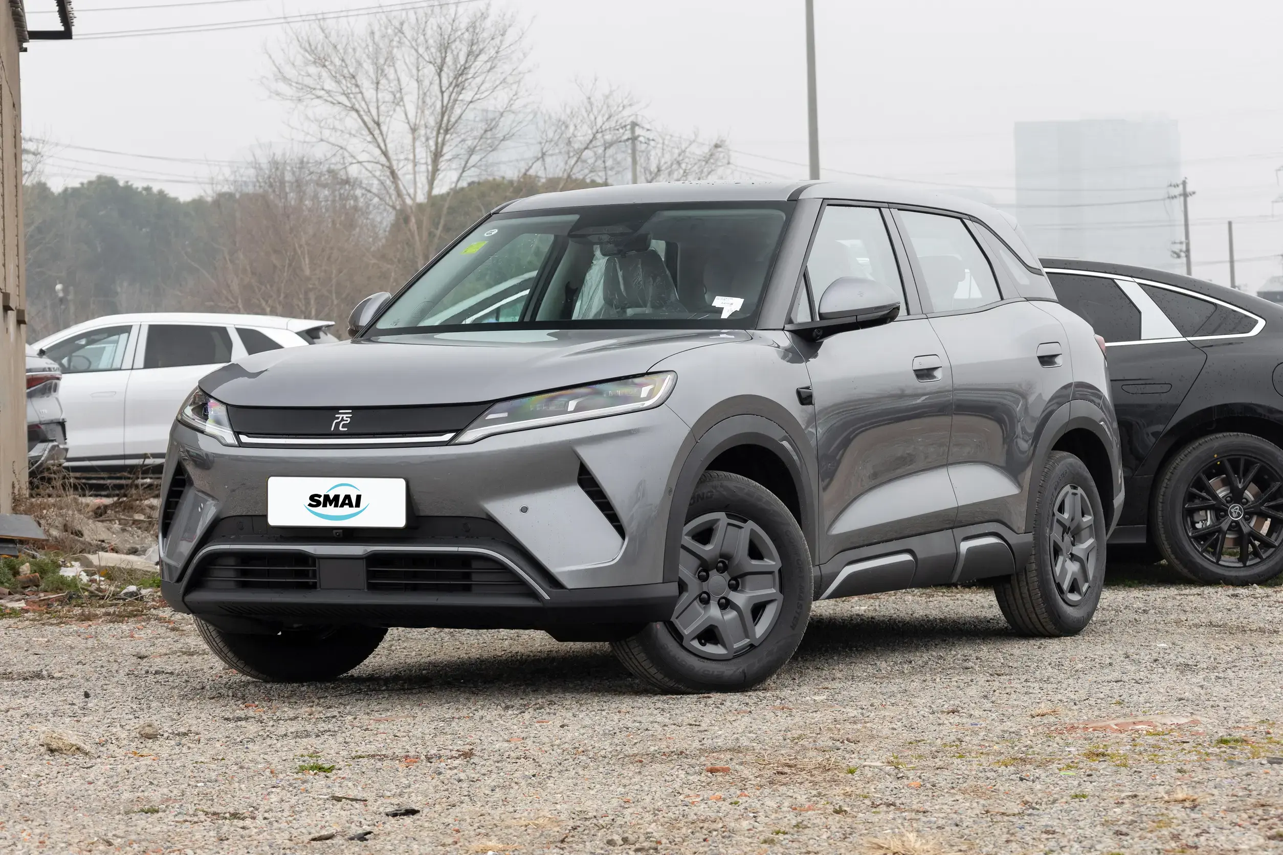 Dynamic Grey