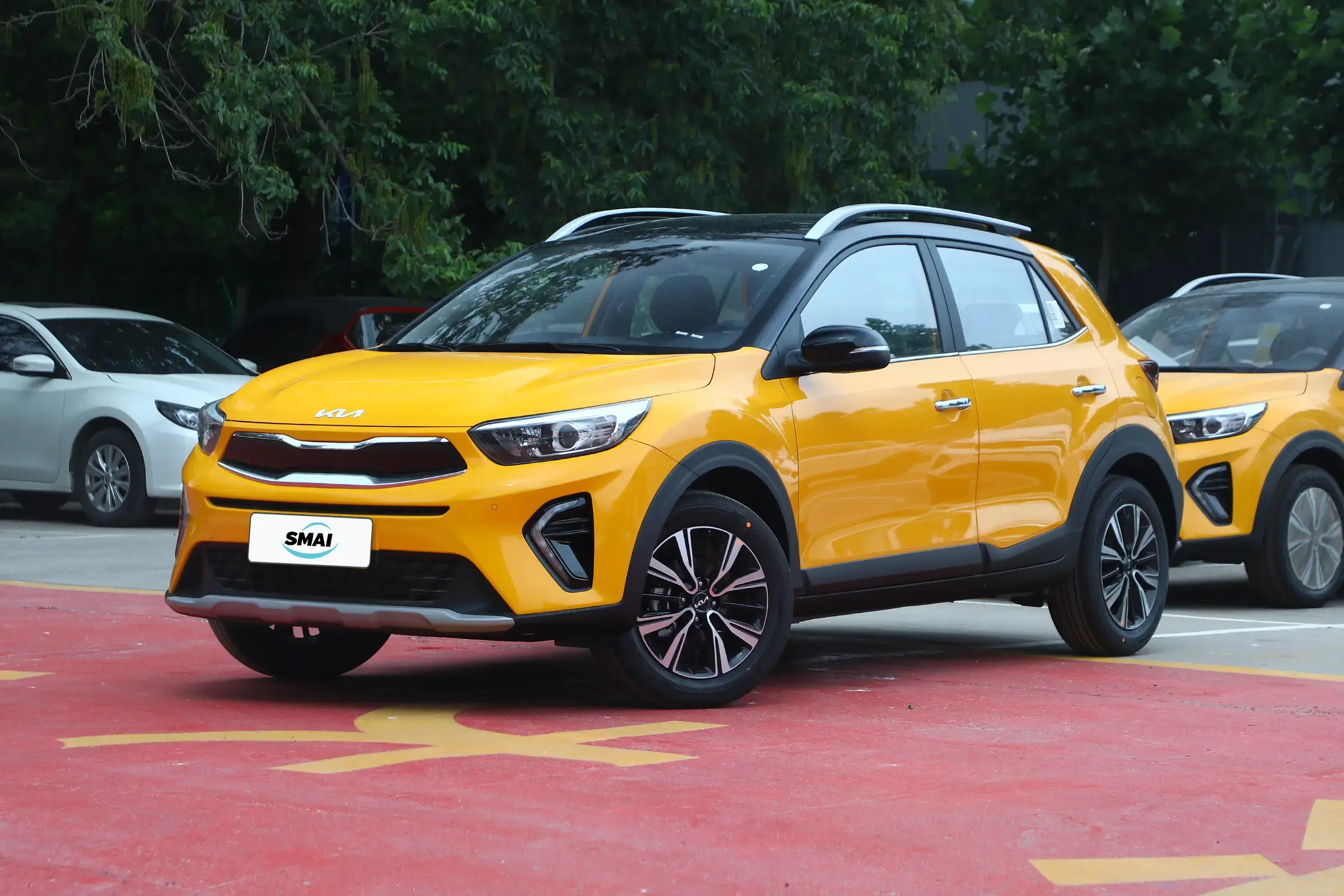 Dynamic Yellow & Black Roof