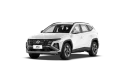 Hyundai Tucson Cover