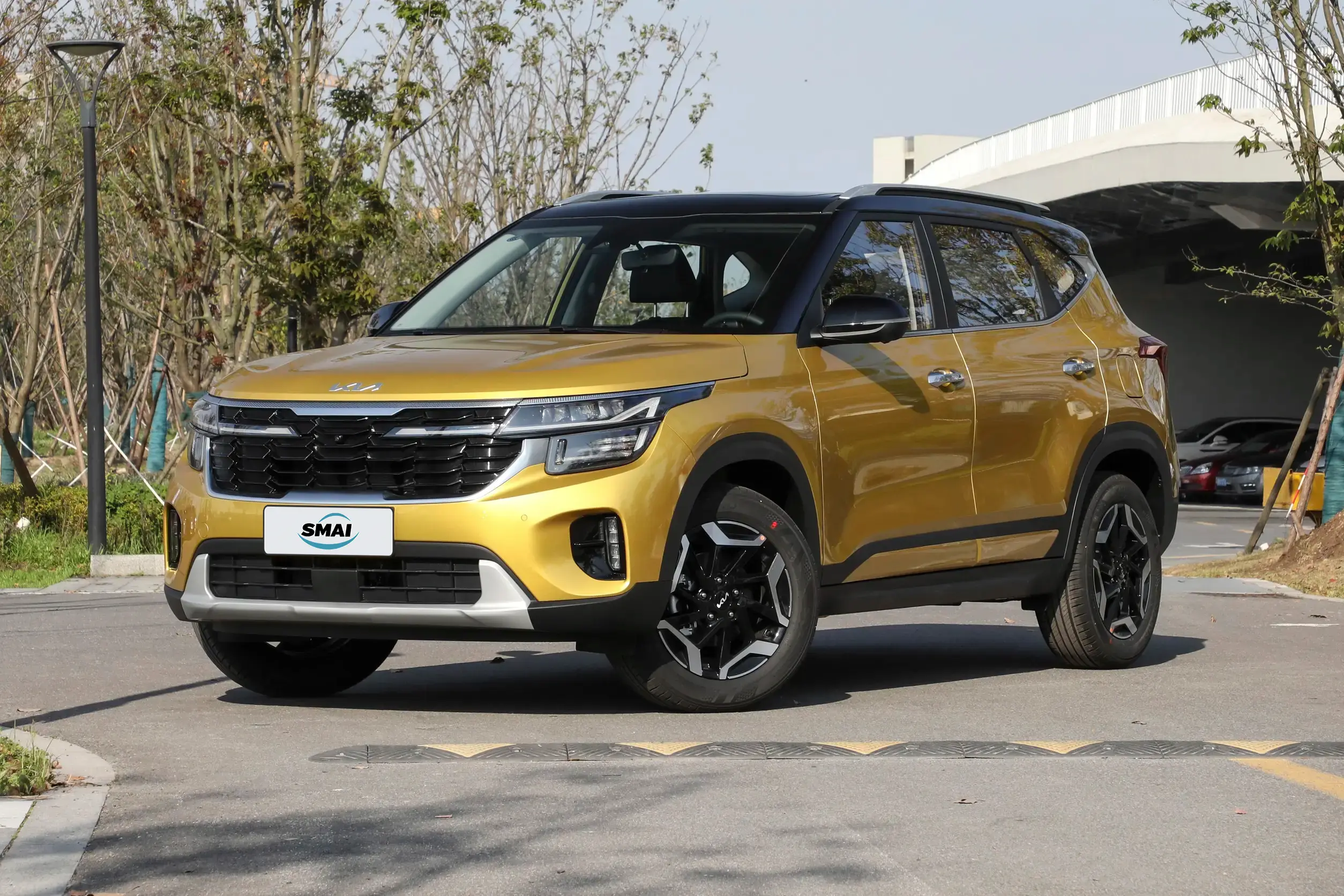 Stellar Yellow & Black Roof