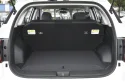Hyundai Mufasa Trunk