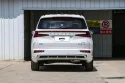 Hyundai Custo Back