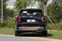 Hyundai Palisade Back