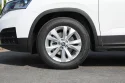 Škoda Kamiq Tire