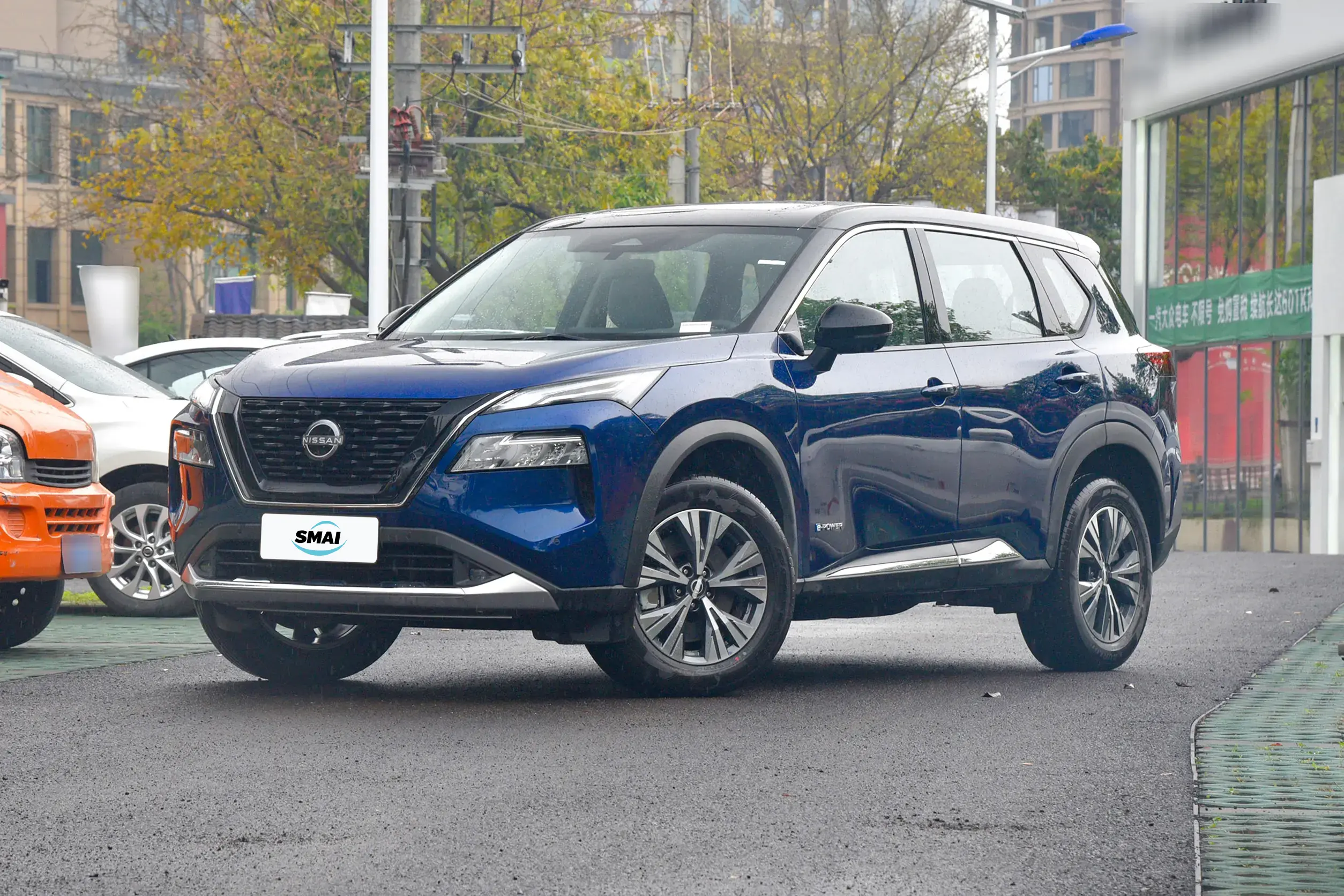 Aurora Blue & Black Roof