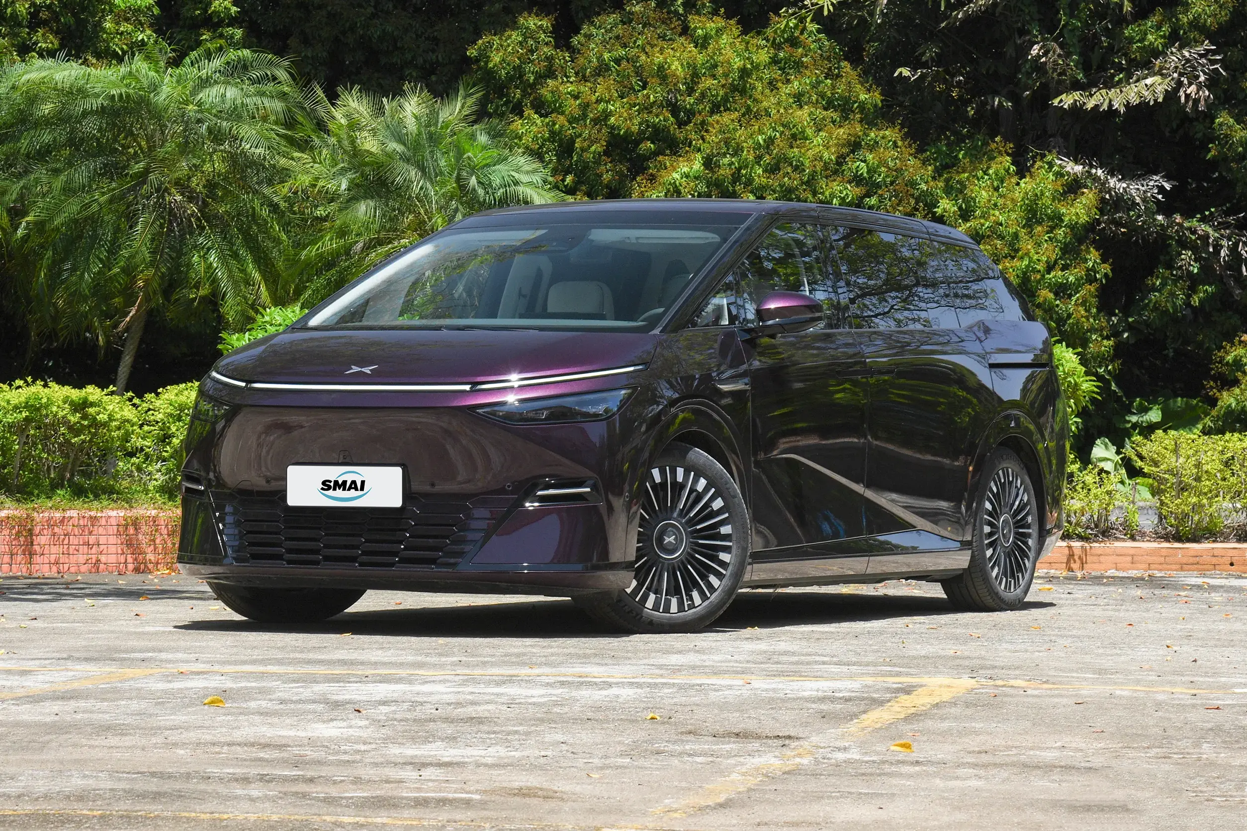 Nebula Purple